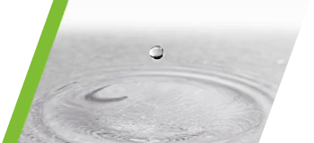Gota
